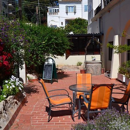 La Mimosa Guesthouse Palma di Maiorca Esterno foto