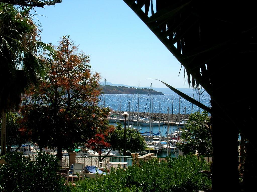 La Mimosa Guesthouse Palma di Maiorca Esterno foto