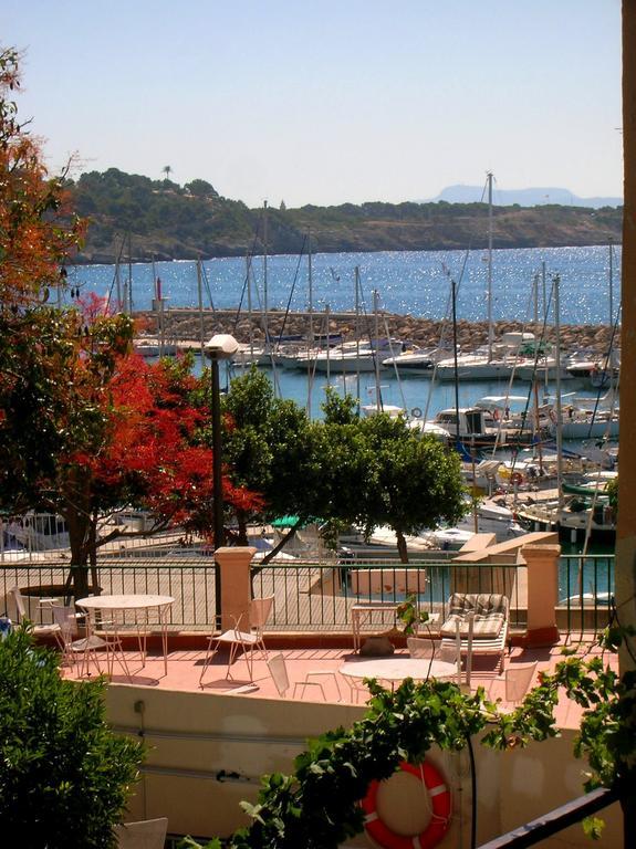La Mimosa Guesthouse Palma di Maiorca Esterno foto