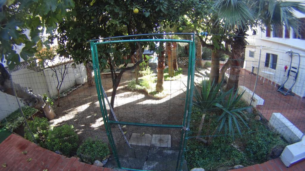 La Mimosa Guesthouse Palma di Maiorca Esterno foto