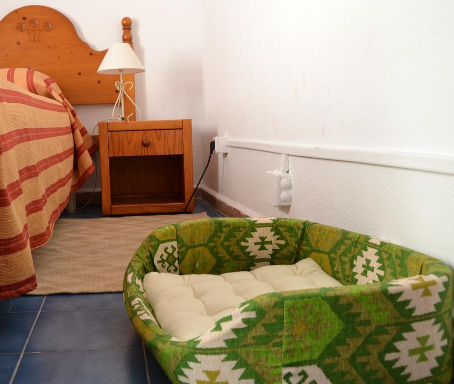 La Mimosa Guesthouse Palma di Maiorca Esterno foto